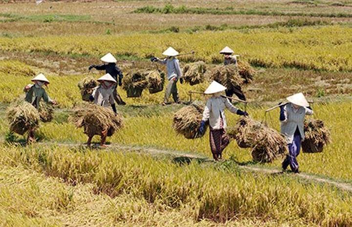 Hotspot Matrix: Biến Chấm điểm loạt “green flags” thành cơ hội marketing đột phá