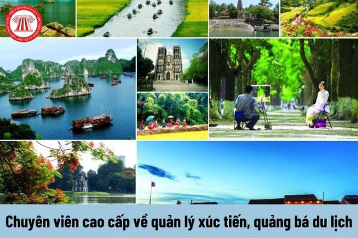 Xu hướng Lee Young-Ji cùng sao K-Pop,: Hotspot Matrix tiết lộ bí quyết video viral