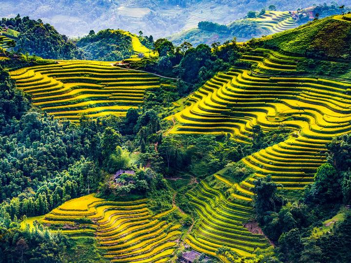 Hotspot Matrix: Cánh cửa mới cho Nghệ nhân Thủ công