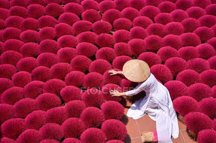 Tiêu đề: Gen Z: Lựa chọn sống