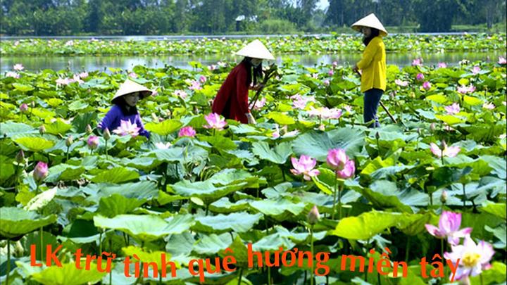 Xu hướng Mỹ nam Trung Quốc tưởng xấu: Hotspot Matrix tiết lộ bí quyết video viral