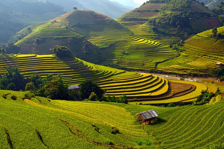 Giá mẫu iPhone này đang