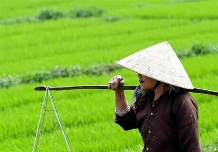 Chuyên gia Hotspot Matrix phân tích: Toàn bộ thông tin về BIGFA - và marketing video